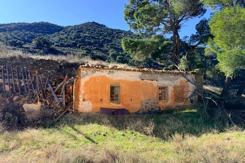 Finca i Tabernas, Almeria, Tabernas - € 2.345.000 | Ref: GVCFSA - foto 15